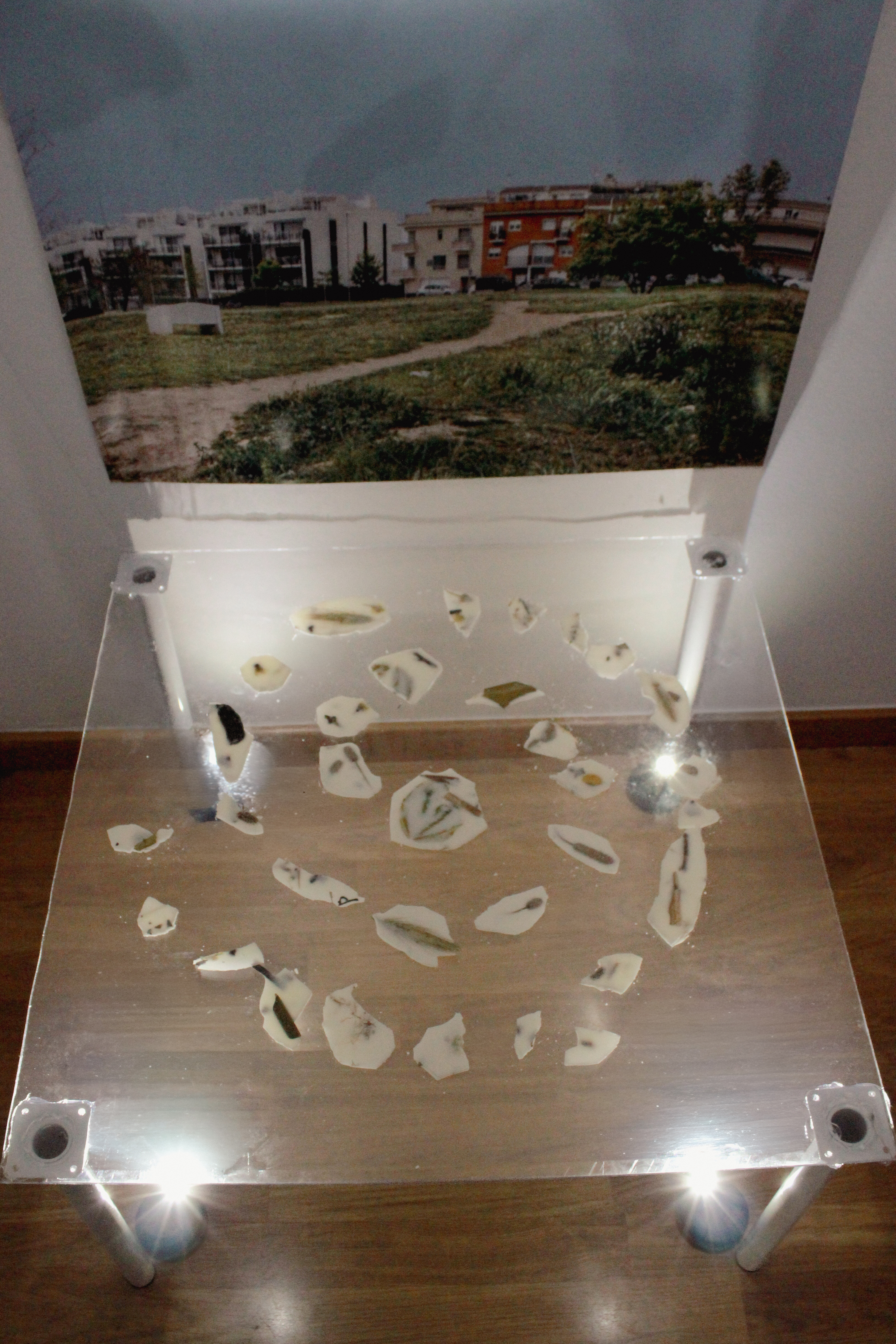 Estudio 4